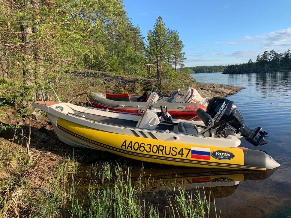 Fortis 460 Z